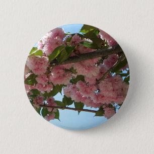 Doppelblühende Kirschbaum IV Frühjahr Button