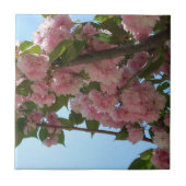 Doppelblühende Kirschbaum IV Frühjahr Fliese (Vorderseite)