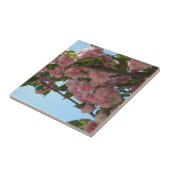 Doppelblühende Kirschbaum IV Frühjahr Fliese (Seite)