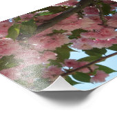 Doppelblühende Kirschbaum IV Frühjahr Fotodruck (Ecke)