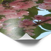 Doppelblühende Kirschbaum IV Frühjahr Fotodruck (Ecke)