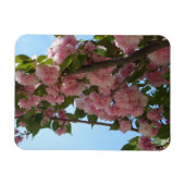 Doppelblühende Kirschbaum IV Frühjahr Magnet (Horizontal)