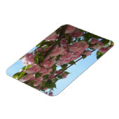 Doppelblühende Kirschbaum IV Frühjahr Magnet (Linke Seite)