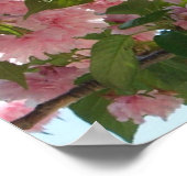 Doppelblühende Kirschbaum IV Frühjahr Poster (Ecke)