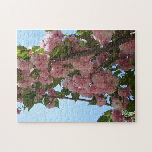 Doppelblühende Kirschbaum IV Frühjahr Puzzle (Horizontal)