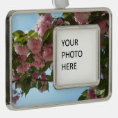 Doppelblühende Kirschbaum IV Frühjahr Rahmen-Ornament Silber (Rechts)