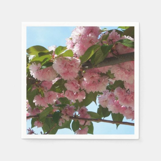 Doppelblühende Kirschbaum IV Frühjahr Serviette (Vorderseite)