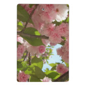 Doppelblühender Kirschbaum III Frühlingsblüten Mini Klemmbrett (Rückseite)