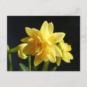 Doppelblütendüster DIY Postkarte