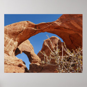Doppelbogen im Arches National Park Poster