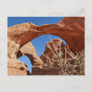 Doppelbogen im Arches National Park Postkarte