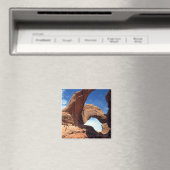 Doppelbogen-Magnet Magnet (In Situ (Geschirrspüler))