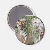 DOPPELFEHLERN 2 FELDER ORANGE/WEISS MAGNET (Vorderseite/Rückseite)