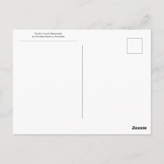 Doppelfranzösisches Ranunculus von Arentina Arends Postkarte (Rückseite)