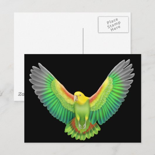 Doppelgelb gehüllter Amazonas Postkarte (Vorne/Hinten)