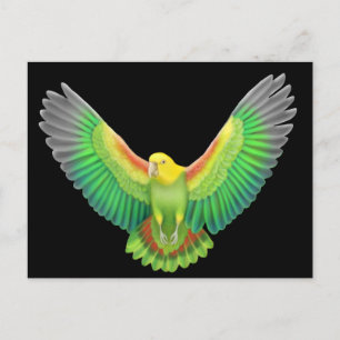 Doppelgelb gehüllter Amazonas Postkarte