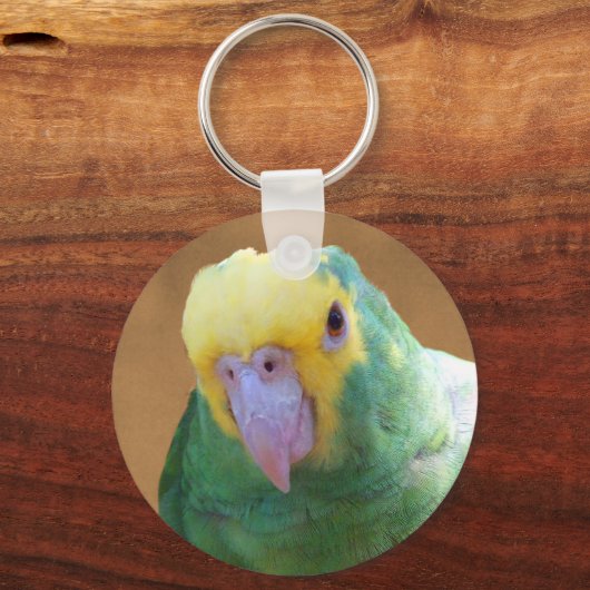 Doppelgelb gehüllter Amazonas Schlüsselanhänger (Vorderseite)