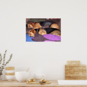 Doppelhund müde poster (Küche)