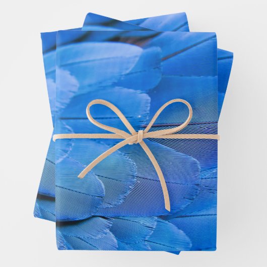 Doppelinitiale mit Monogramm Federflügel Geschenkpapier Set (Beispiel)