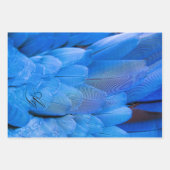 Doppelinitiale mit Monogramm Federflügel Geschenkpapier Set (Vorderseite)