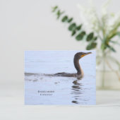 Doppelkamm-Kormoran Postkarte (Stehend Vorderseite)
