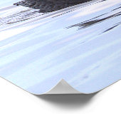 Doppelkamm-Kormoran-Vogelposter Poster (Ecke)