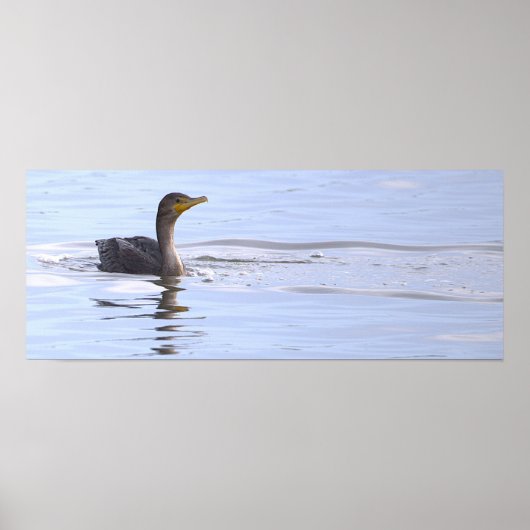 Doppelkamm-Kormoran-Vogelposter Poster (Vorne)