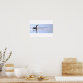 Doppelkamm-Kormoran-Vogelposter Poster (Küche)