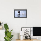 Doppelkamm-Kormoran-Vogelposter Poster (Heimbüro)