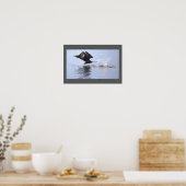 Doppelkamm-Kormoran-Vogelposter Poster (Küche)
