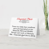 Doppelkarte der Vogelbaby-Mutter Tages Karte (Rückseite)