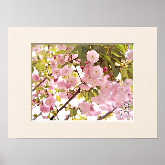 Doppelkirschblossom: Imose Poster (Vorne)