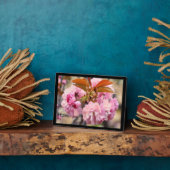 Doppelkirschblossom: Kanzan Fotoplatte (Seite)