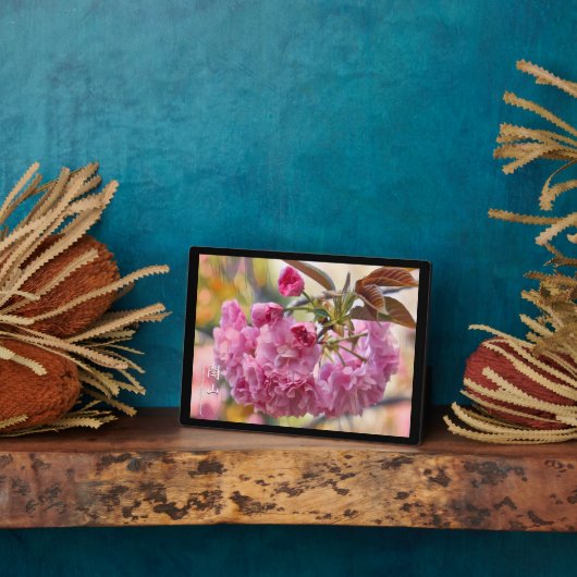 Doppelkirschblossom: Kanzan Fotoplatte (Seite)