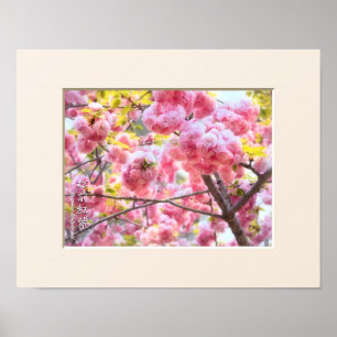 Doppelkirschblossom: Matsumae-benimurasaki Poster