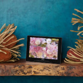 Doppelkirschblossom: Sato-zakura Fotoplatte (Seite)