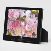 Doppelkirschblossom: Sato-zakura Fotoplatte (Seite)