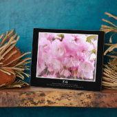Doppelkirschblossom: Sato-zakura Fotoplatte (Seite)