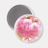 Doppelkirschblossom: Sato-zakura Magnet (Vorderseite/Rückseite)