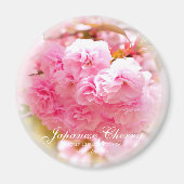 Doppelkirschblossom: Sato-zakura Magnet (Vorne)