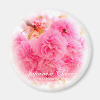 Doppelkirschblossom: Sato-zakura