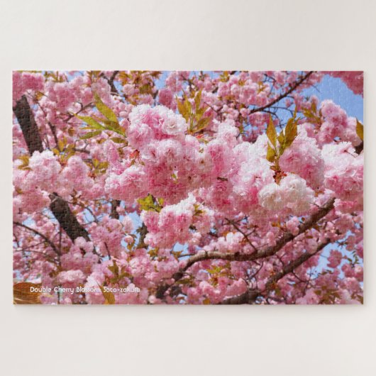Doppelkirschblossom: Sato-zakura Puzzle (Horizontal)