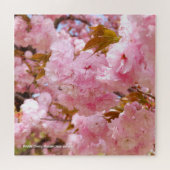 Doppelkirschblossom: Sato-zakura Puzzle (Horizontal)
