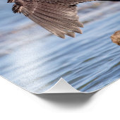 Doppelkreuzer Kormoran am Champlain See Fotodruck (Ecke)