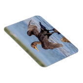 Doppelkreuzer Kormoran am Champlain See Magnet (Rechte Seite)