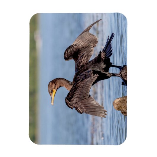 Doppelkreuzer Kormoran am Champlain See Magnet (Vertikal)