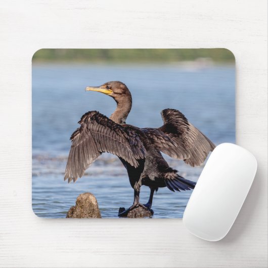 Doppelkreuzer Kormoran am Champlain See Mousepad (Mit Mouse)