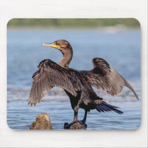 Doppelkreuzer Kormoran am Champlain See Mousepad
