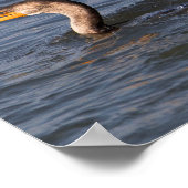 Doppelkreuzer Kormoran mit Fischplakat Poster (Ecke)