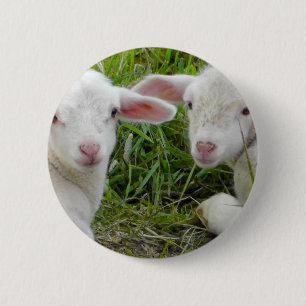 Doppellamm-Baby-Tierdenken an Sie Button